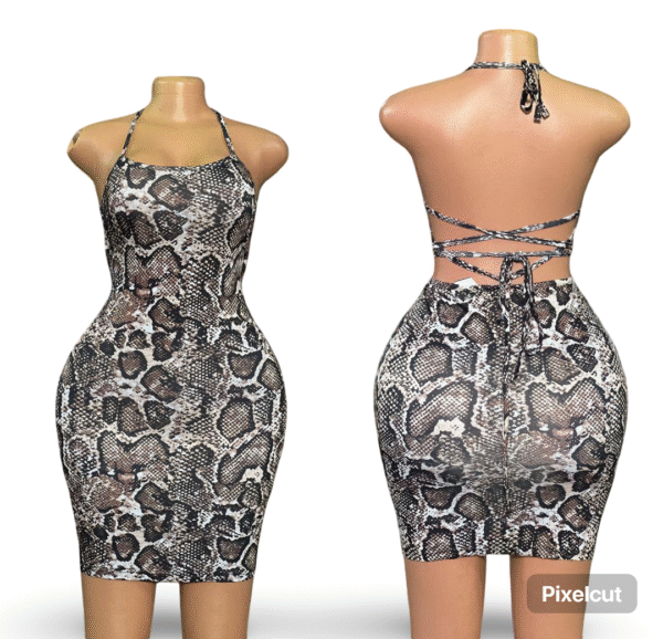 Layered dress