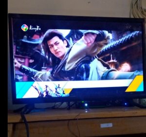 22 size TV